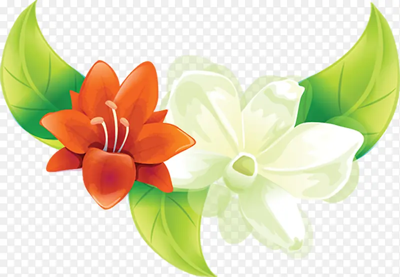 ��ɫ���Ż����ֻ�-������