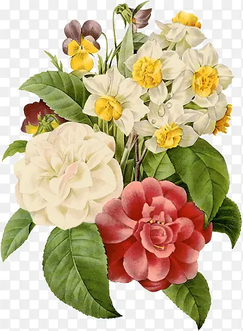 ���Ŵ��⻨��廭-������