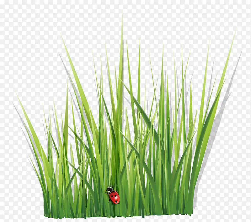 ʸ��ˮ��-������