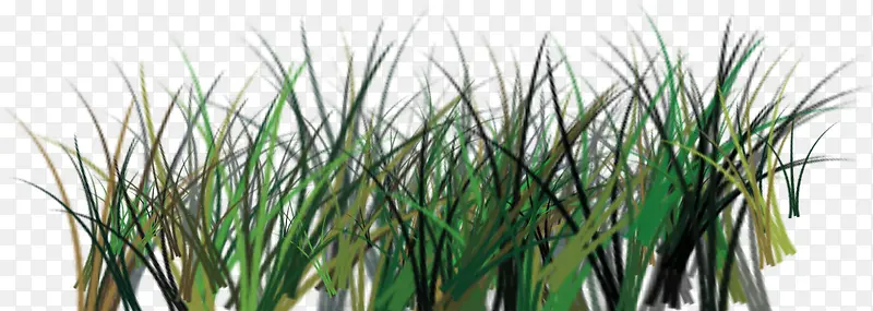 ������Ӱ��ɫ�ݱ�ֲ��ˮ����Ӱ-������