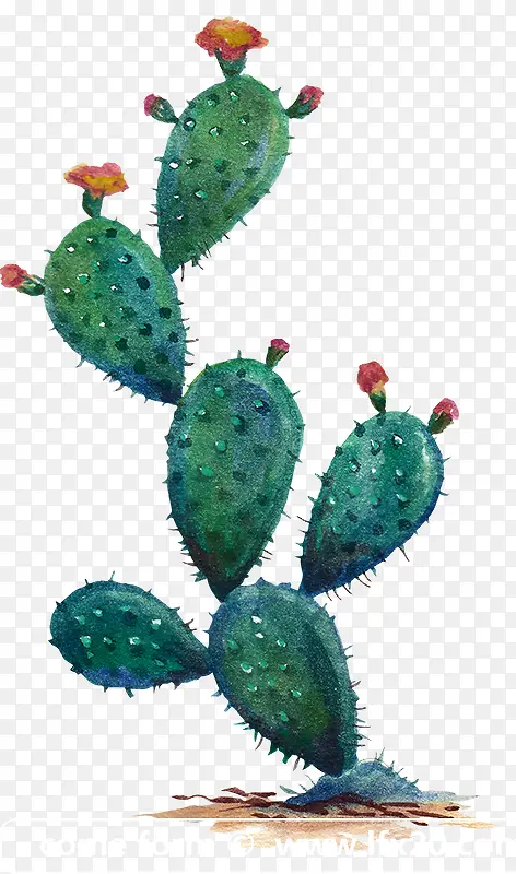 ��ɫֲ�������ƿ���2-������