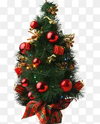 ��ɫֲ���ɫ����-������