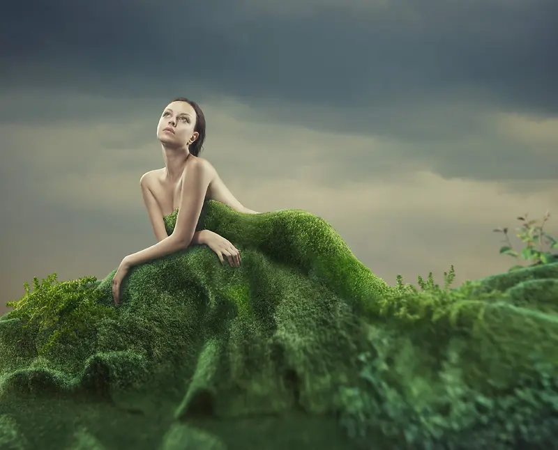 ��ɫֲ����Ȼ�·���Ӱ-������