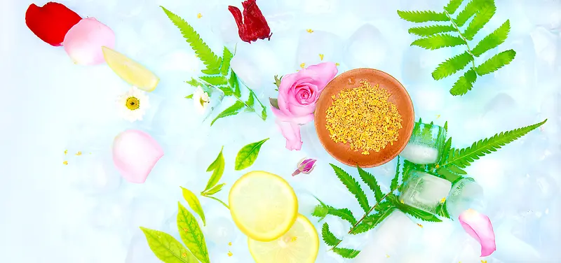 ��ɫֲ��ˮ���ݱ�ֲ�����-������