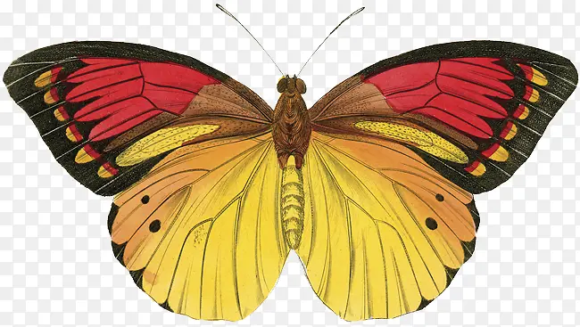 ��������װ��-������