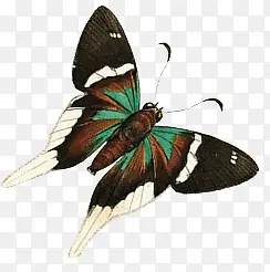 ��������װ��-������