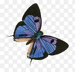 �������-������