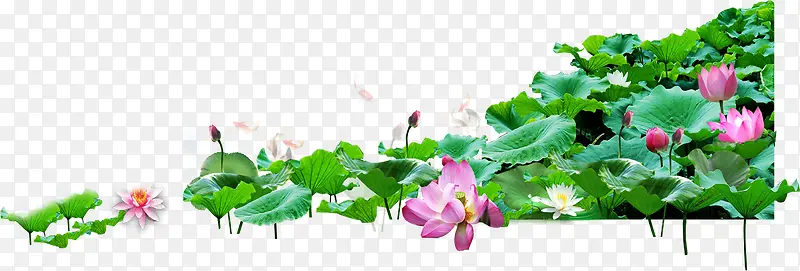 ������Ӱһ������-������