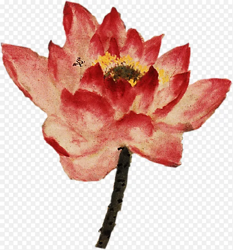 �ֻ��ɫˮ������-������