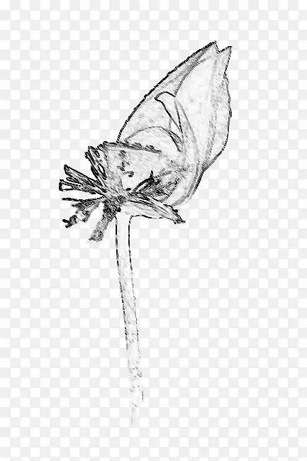 �ֻ��ɫˮ������-������