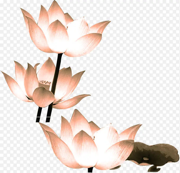 ��ɫ�ֻ������ɰ�-������