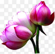 �����ֻ濨ͨ�ɰ�-������