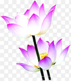 ����ɰ������徻-������