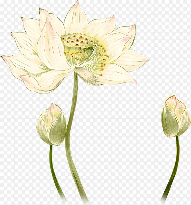 ������ֻ�ˮ������-������