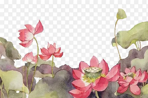 ˮ����������-������