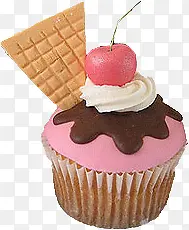 ���� ʳƷ ��ɫ ��� ��ʳ-������