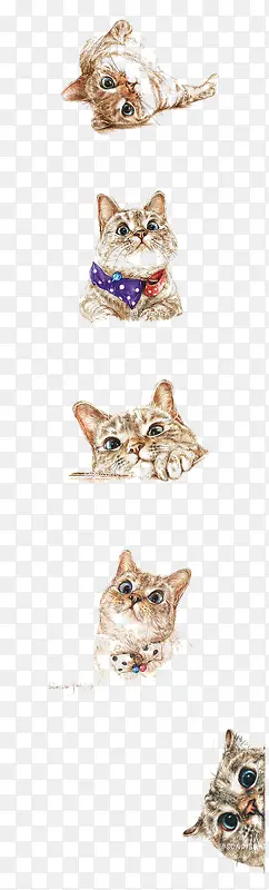 �ɰ�Сè-������