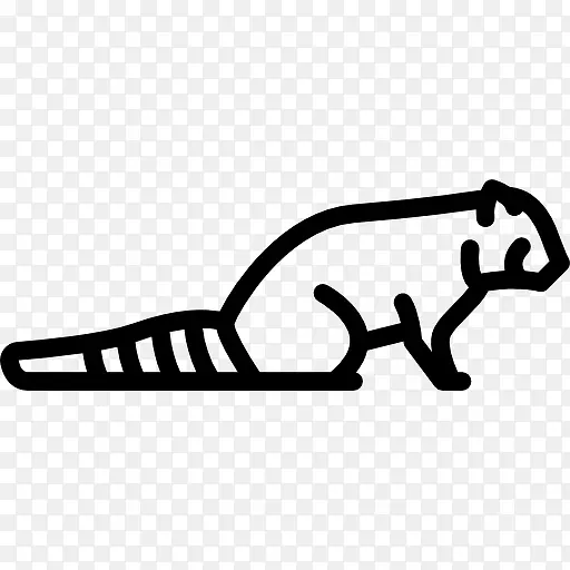 ����èͼ��-������