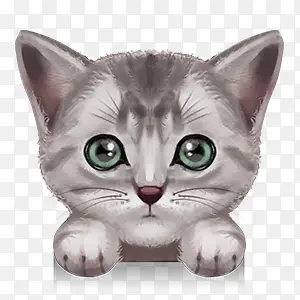 �ֻ�ɰ�Сè��ͼ-������