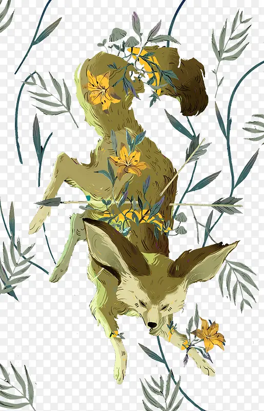 �ʻ涯��-������