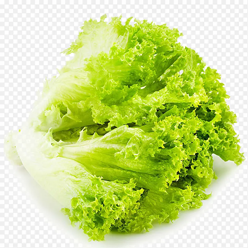 ������ɫ�����߲�-������