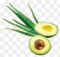 ��ɫ����ˮ��ֲ��-������