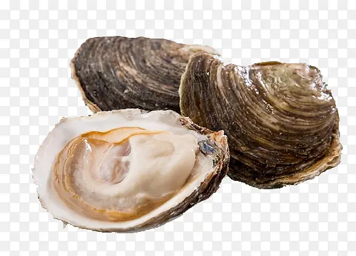 ���-������