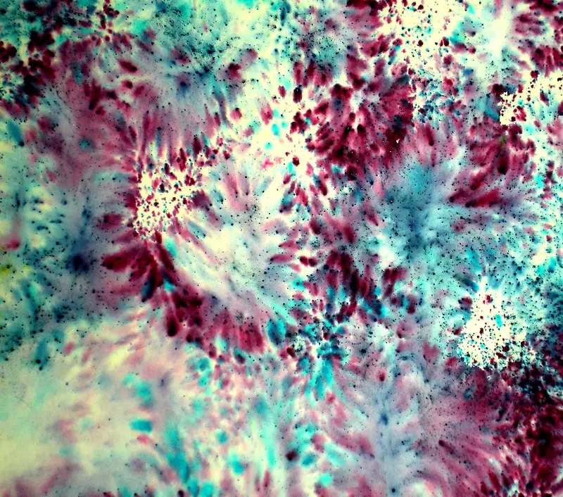 ��ɫī֭���Ʊ���-������