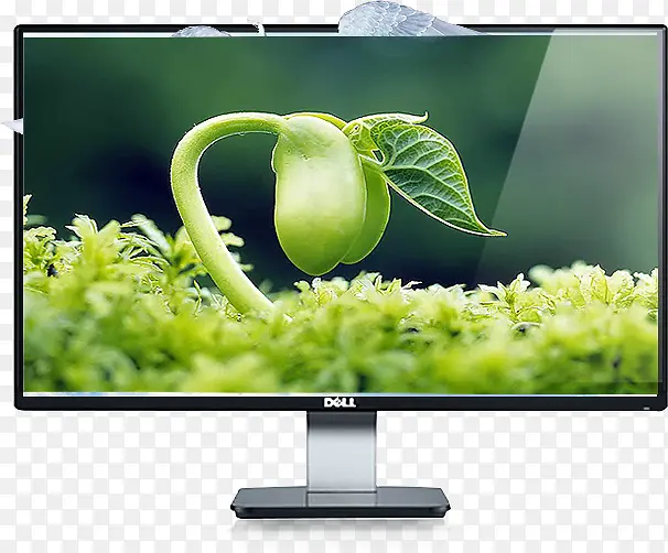 �Ա�������Ļ����-������