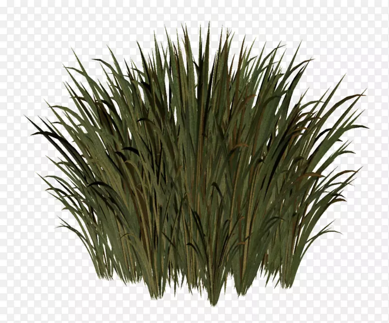 �ݱ�ֲ���ƺ�ݵ�����-������