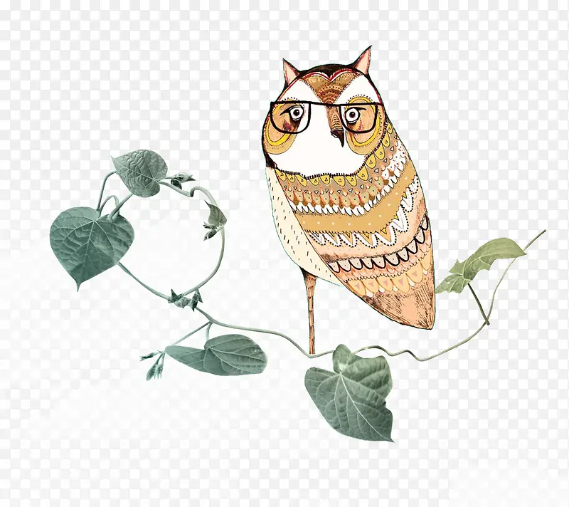 �ֻ�èͷӥ-������