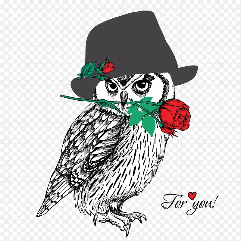 ��ͨ�ɰ��ֻ涯��-������