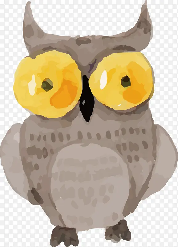 ˮ��èͷӥ-������