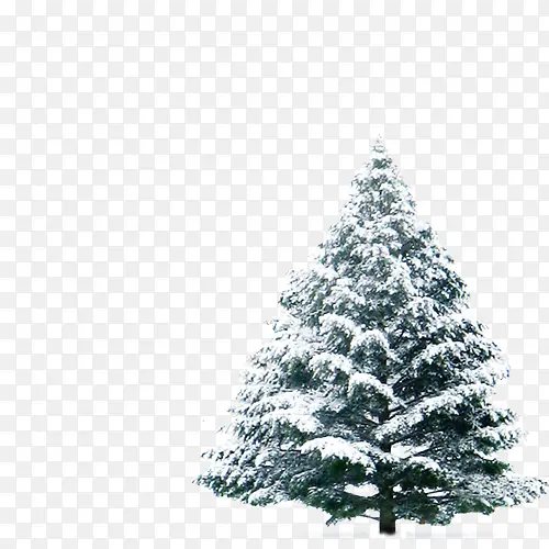 ��-������