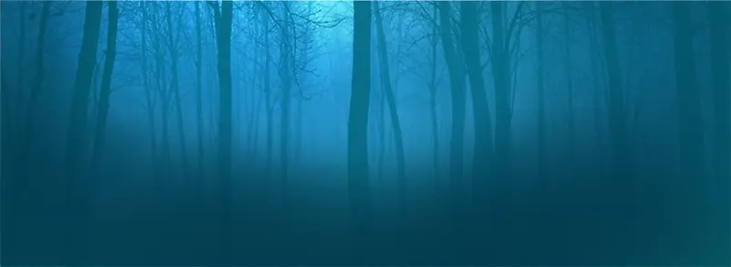 ɭ�ֱ���-������