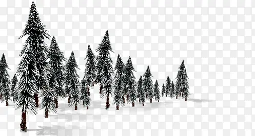 ������Ӱ����ϳ�ɭ��-������