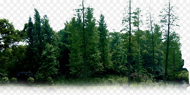 ���崴����ɫɭ����Ӱ-������