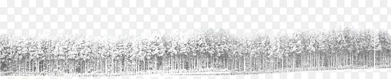 ��ɫɭ���Ա�����-������