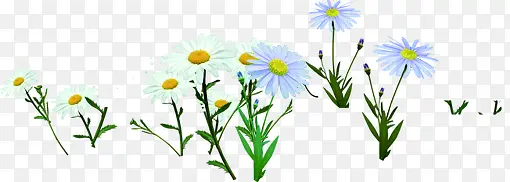 �ɰ�С������ɭ��-������