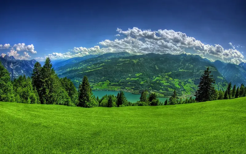 �ݵ�ɭ����Ȼ��Ӱͼ-������