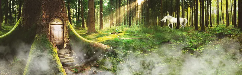 ɭ��-������