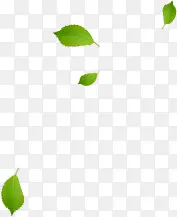 Ʈ�����Ҷ�Ա�����-������