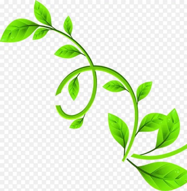 ��ɫʱ�д��ջ��仨��-������