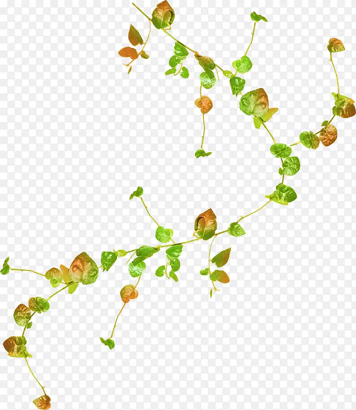 ����������֦����-������