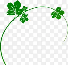 ����ʱ����Ҷ����-������