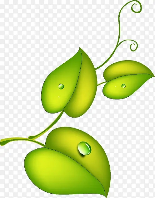 ��ɫ���ٲ廭չ��-������