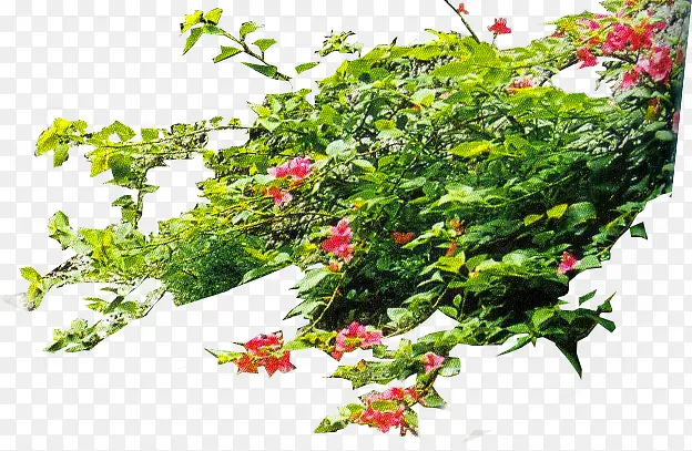 �����������ٴ���-������