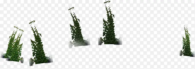 ��ɫ���ٸ��Դ���-������