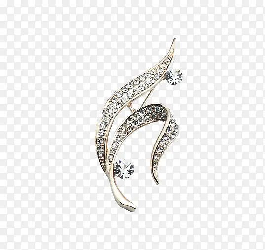 ��Ҷ����-������