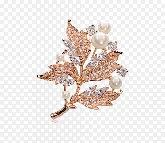 ��Ҷ����-������